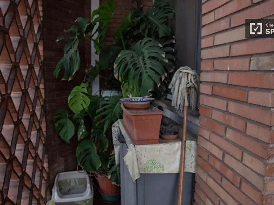 Immagine 13 di Camera condivisa in affitto  in Via di Vigna Murata a Roma