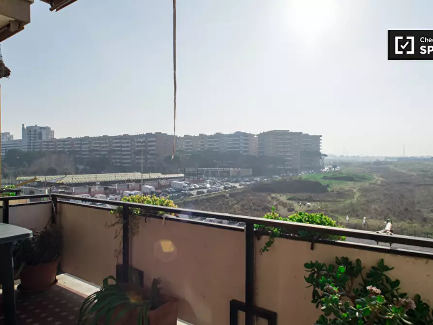 Immagine 6 di Camera condivisa in affitto  in Viale Bruno Rizzieri a Roma
