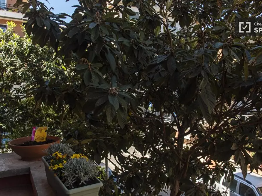 Immagine 14 di Appartamento in affitto  in Via Ludovico di Monreale a Roma