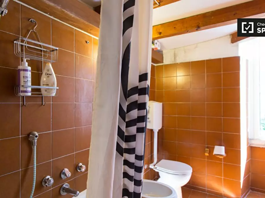 Immagine 14 di Camera condivisa in affitto  in via Curtatone a Milano