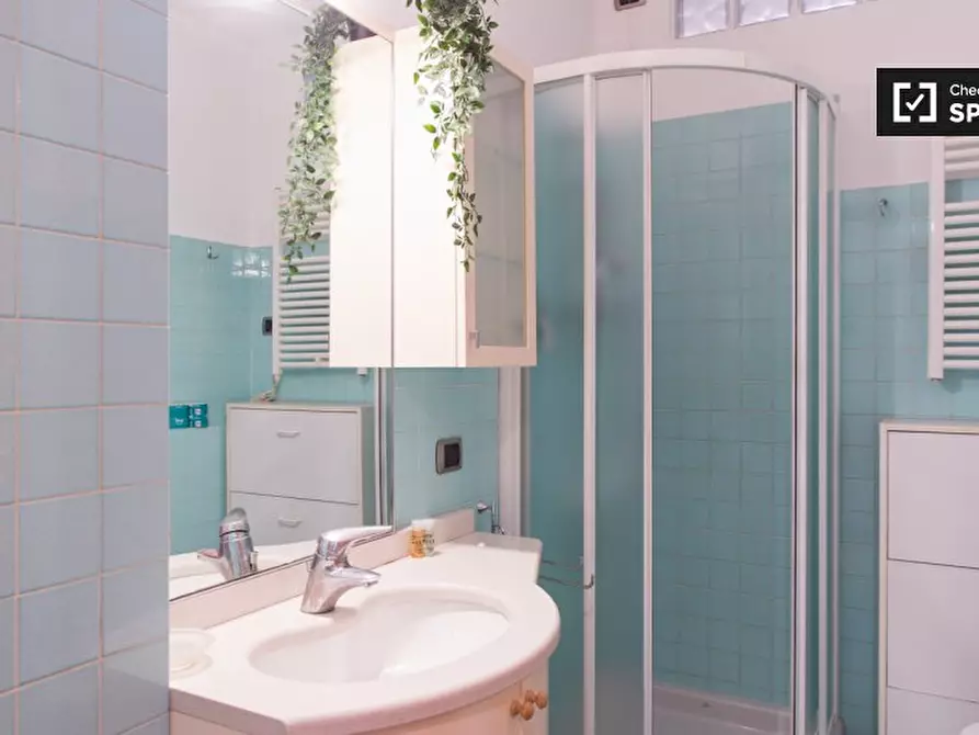 Immagine 14 di Appartamento in affitto  in Via Luigi Settembrini a Milano