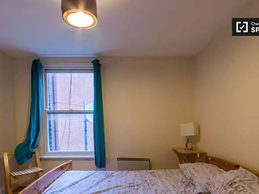 Immagine 19 di Camera condivisa in affitto  in Vauxhall Bridge Road a 