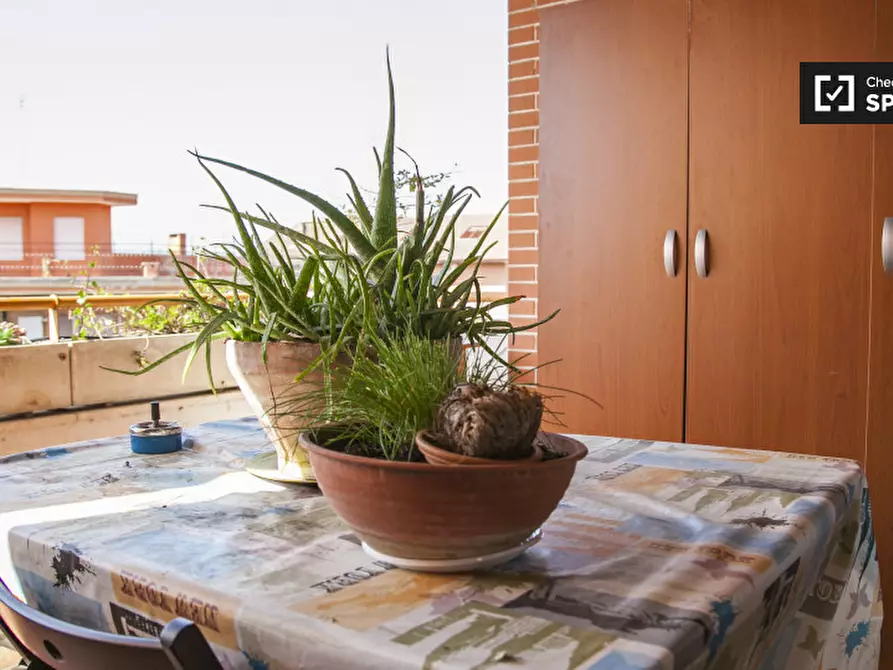 Immagine 12 di Camera condivisa in affitto  in Via Paolo V a Roma