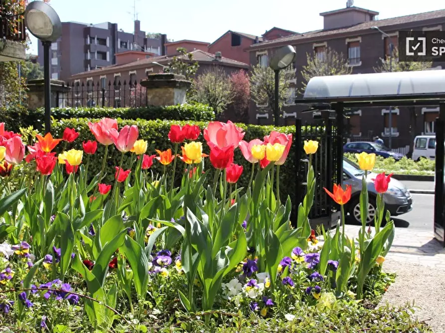 Immagine 13 di Camera condivisa in affitto  in Piazza dell'Assunta a Milano