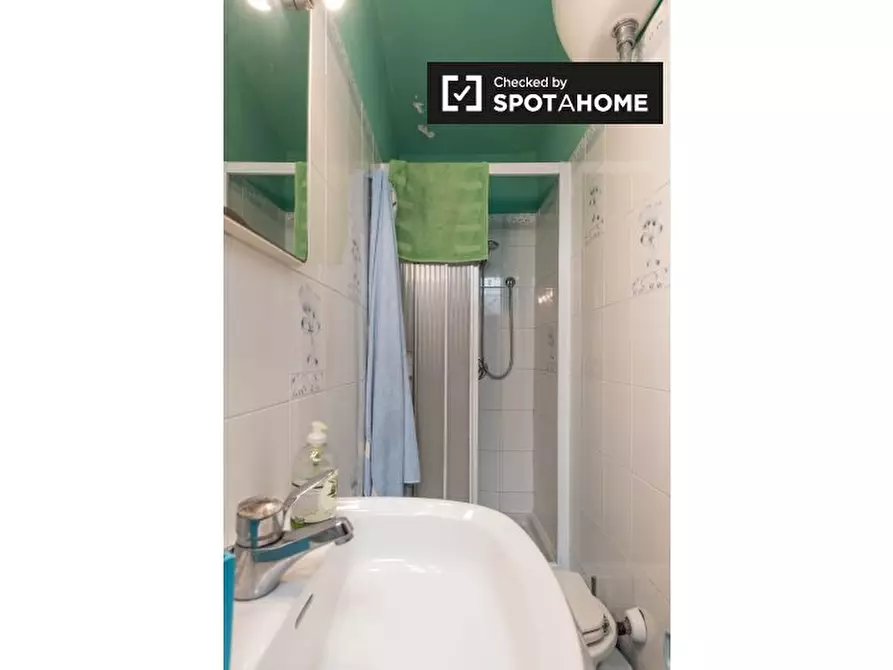 Immagine 17 di Camera condivisa in affitto  in Via dei Pandolfini, 50122 Firenze FI, Italy a Firenze