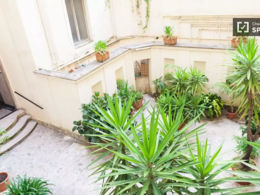 Immagine 15 di Camera condivisa in affitto  in Viale Parioli a Roma