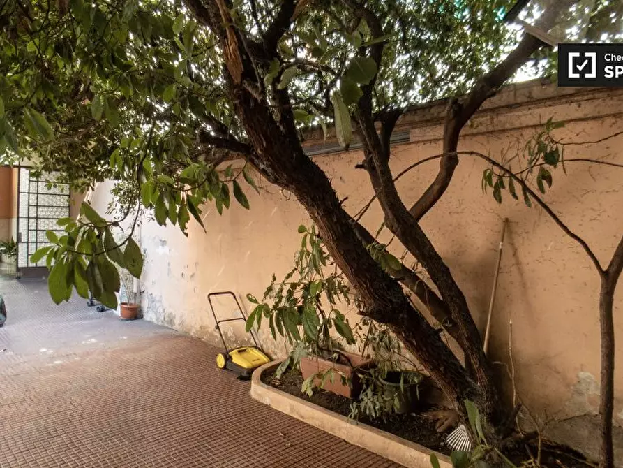 Immagine 5 di Camera condivisa in affitto  in Via Filippino degli Organi a Milano