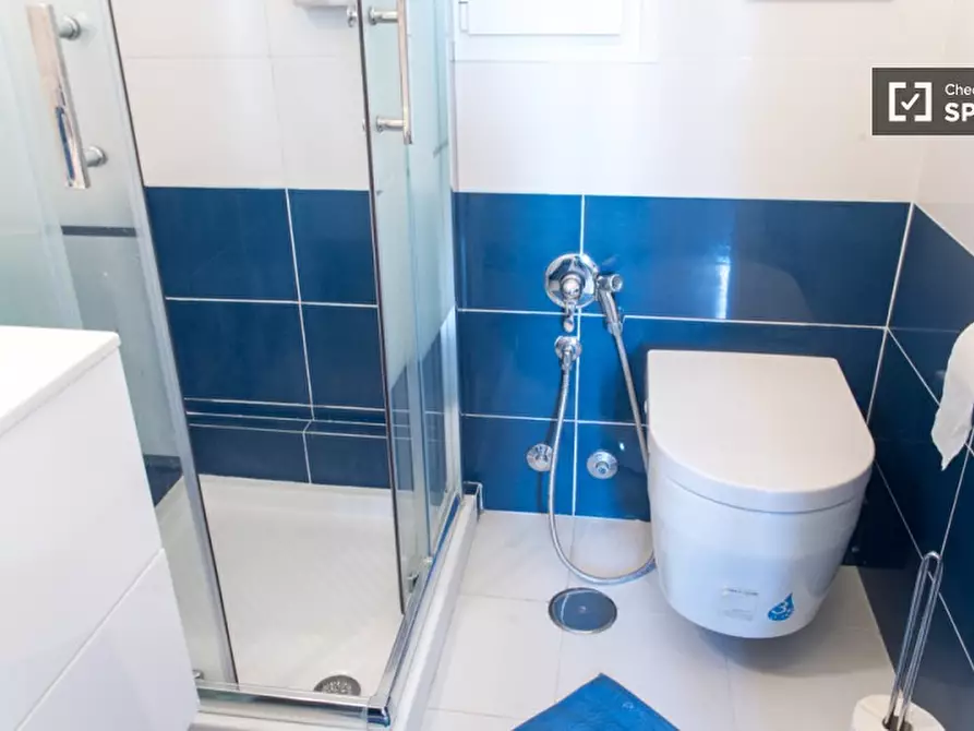 Immagine 13 di Camera condivisa in affitto  in Via Napoli a Roma