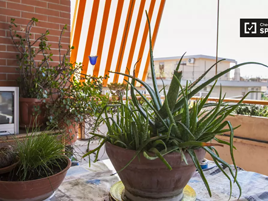 Immagine 14 di Camera condivisa in affitto  in Via Paolo V a Roma