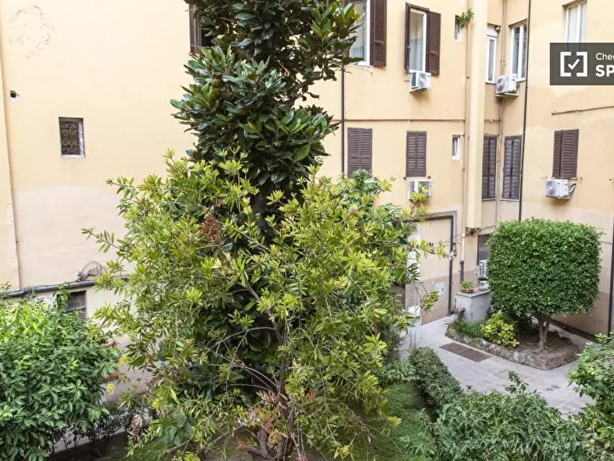Immagine 5 di Appartamento in affitto  in Via Germanico a Roma