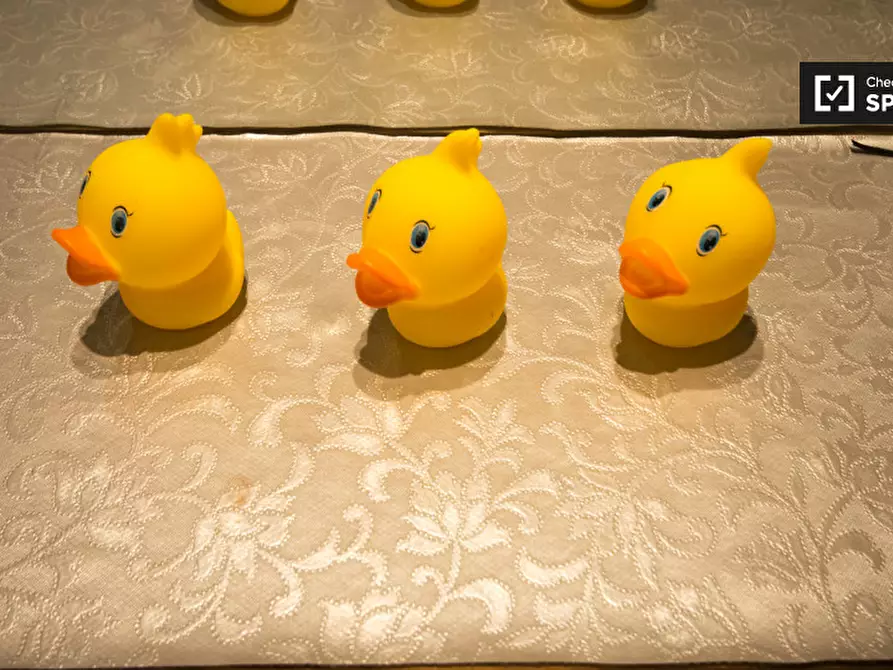 Immagine 8 di Camera condivisa in affitto  in Seager Place a Lewisham