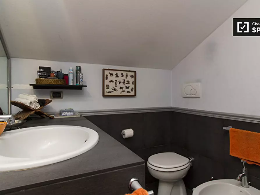 Immagine 19 di Camera condivisa in affitto  in Via Raffaello Sanzio a Cinisello Balsamo