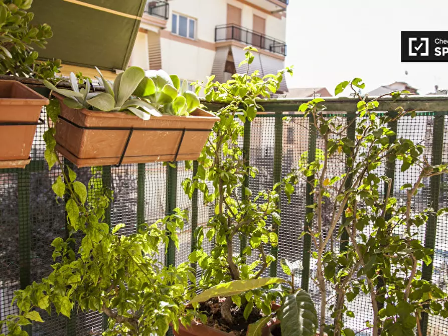 Immagine 14 di Camera condivisa in affitto  in Via dei Crispolti a Roma