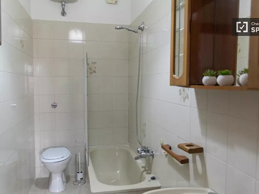 Immagine 13 di Camera condivisa in affitto  in Via Aleardo Aleardi a Roma