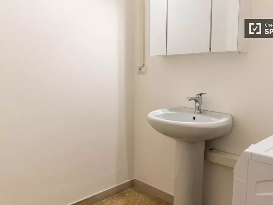 Immagine 13 di Camera condivisa in affitto  in Lungotevere di Pietra Papa a Roma