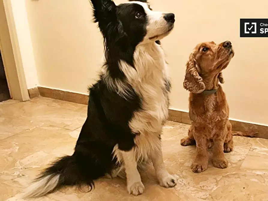 Immagine 17 di Camera condivisa in affitto  in Via Frà Domenico Buonvicini, 50132 Firenze FI, Italy a Firenze