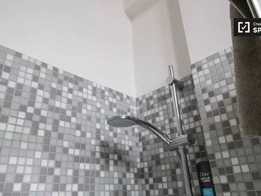 Immagine 15 di Camera condivisa in affitto  in Corso S. Maurizio a Torino