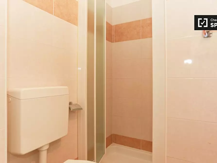 Immagine 8 di Camera condivisa in affitto  in Via Umberto Fogagnolo a Sesto San Giovanni