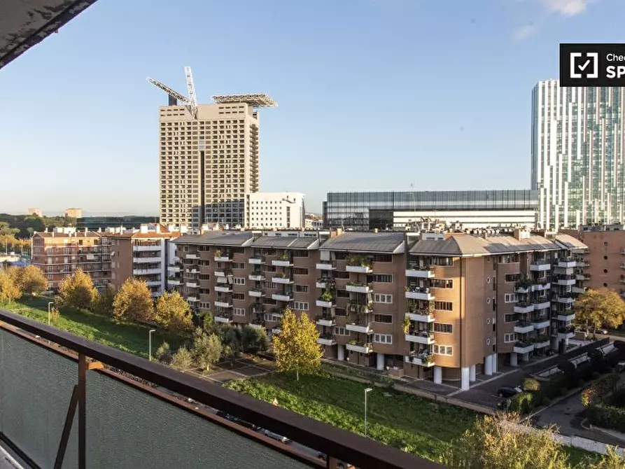 Immagine 13 di Camera condivisa in affitto  in Viale della Grande Muraglia a Roma