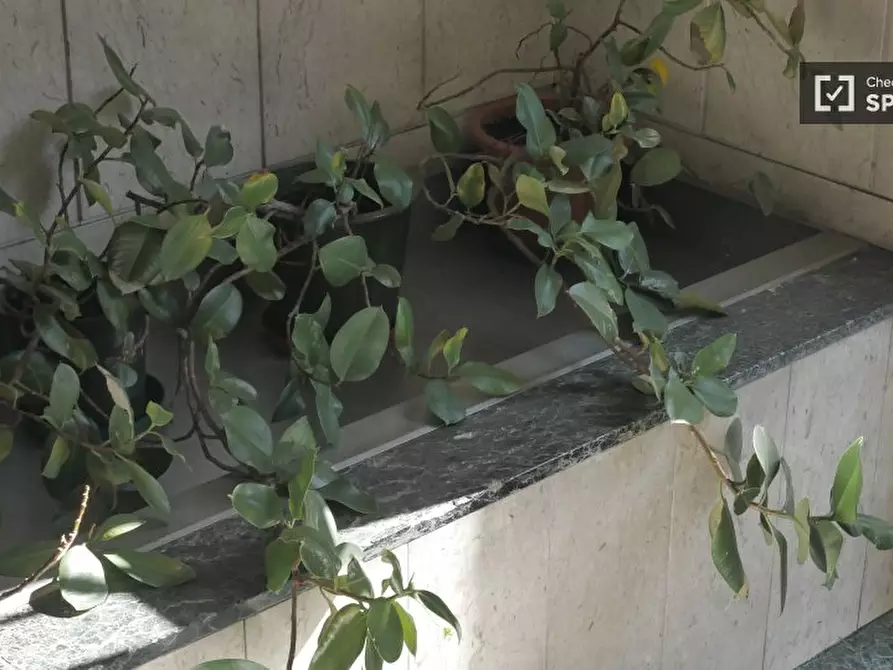 Immagine 19 di Appartamento in affitto  in Via Privata Fonzaso a Milano