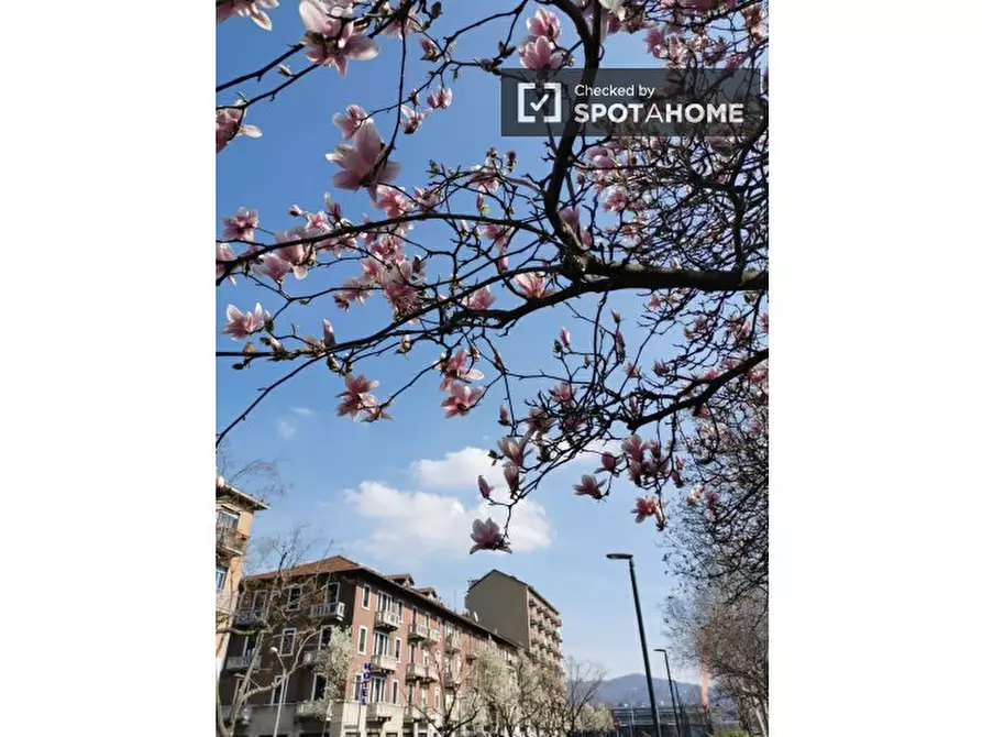 Immagine 14 di Camera condivisa in affitto  in Piazza Tancredi Galimberti a Torino
