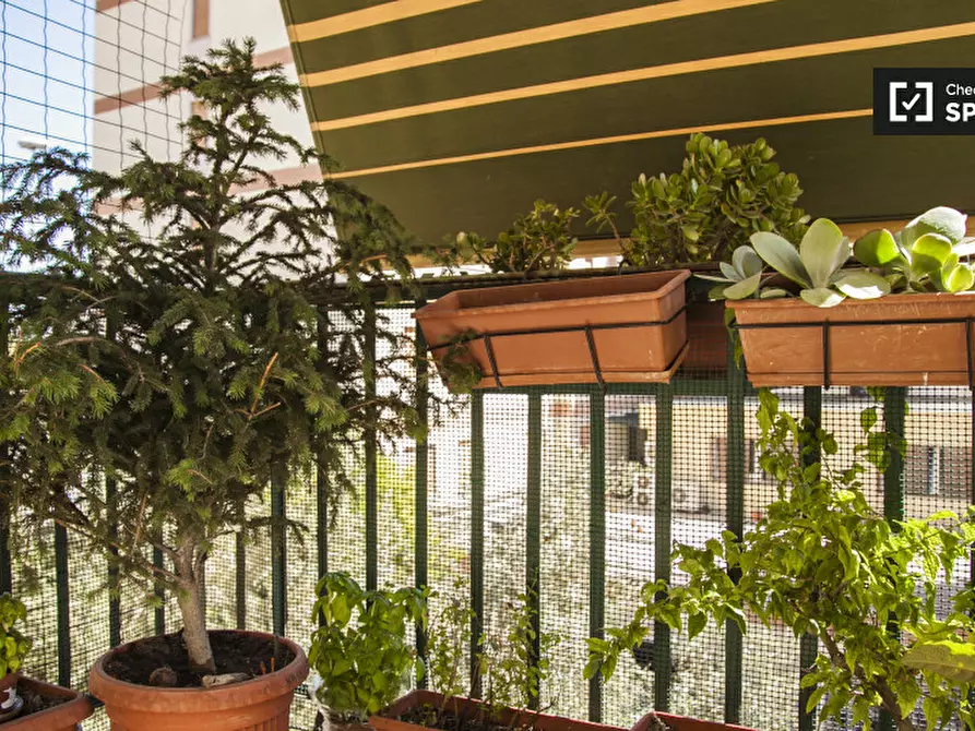 Immagine 13 di Camera condivisa in affitto  in Via dei Crispolti a Roma