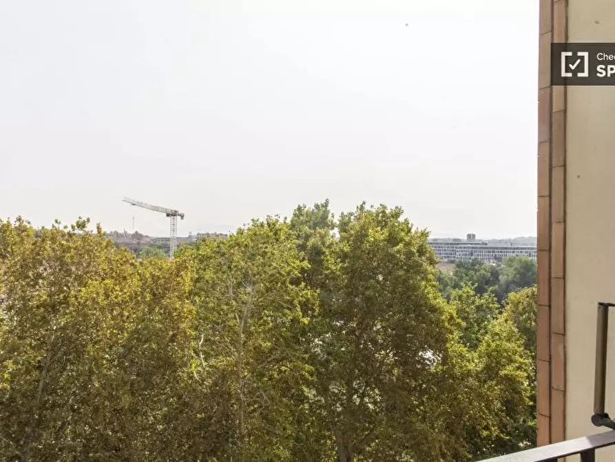 Immagine 5 di Camera condivisa in affitto  in Lungotevere Portuense a Roma