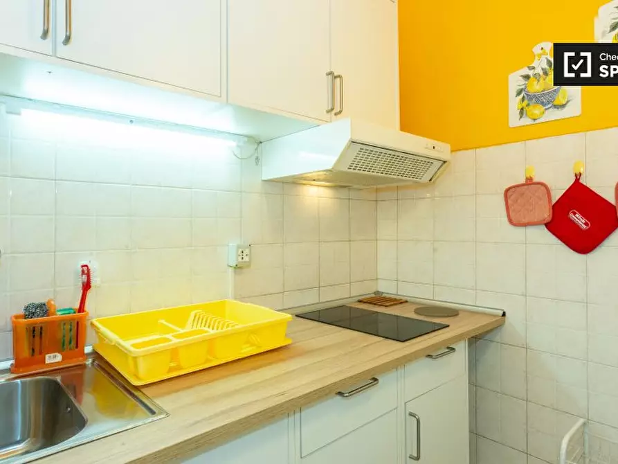 Immagine 14 di Camera condivisa in affitto  in Viale Papiniano a Milano