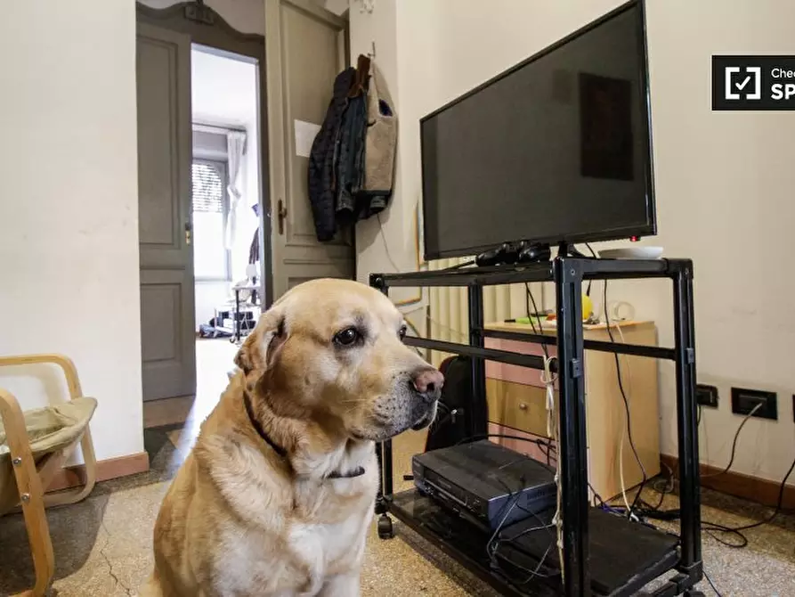 Immagine 9 di Camera condivisa in affitto  in Corso S. Maurizio a Torino