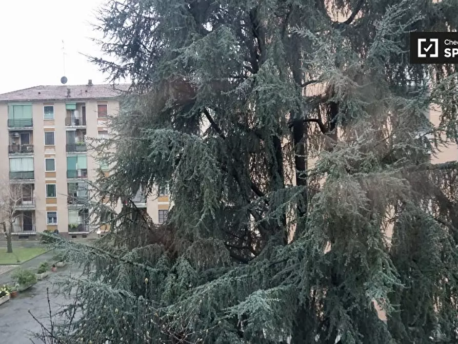 Immagine 8 di Camera condivisa in affitto  in Via Orbetello a Milano