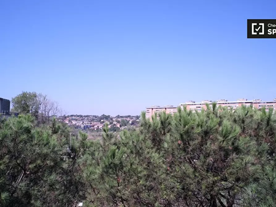 Immagine 6 di Camera condivisa in affitto  in Viale dei Caduti Nella Guerra di Liberazione, 00128 Roma RM, Italy a Roma