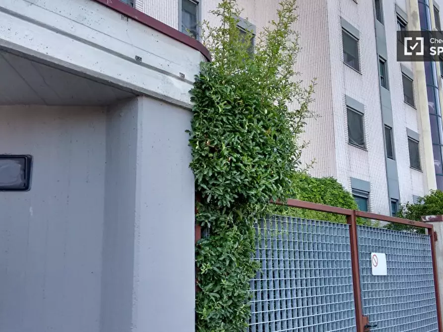 Immagine 17 di Camera condivisa in affitto  in via Treccani degli Alfieri a Milano