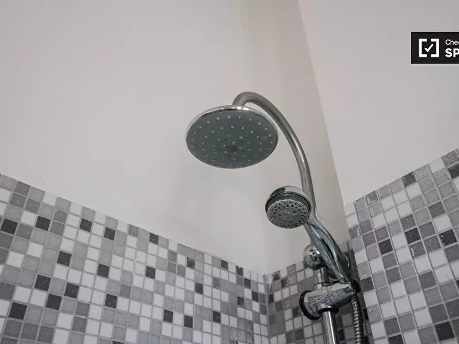 Immagine 13 di Camera condivisa in affitto  in Corso S. Maurizio a Torino