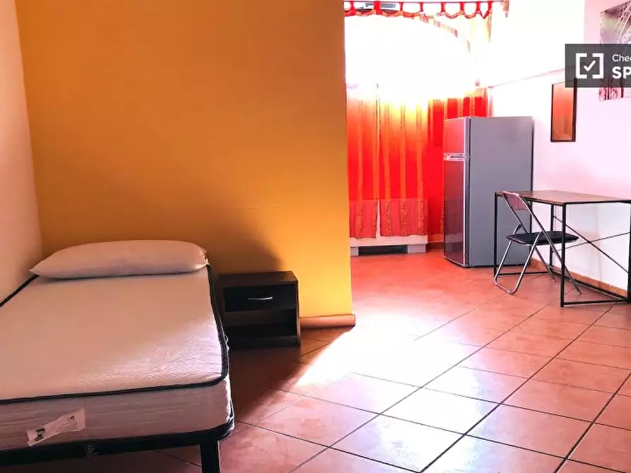 Immagine 3 di Camera condivisa in affitto  in Via Alessandro Brisse a Roma
