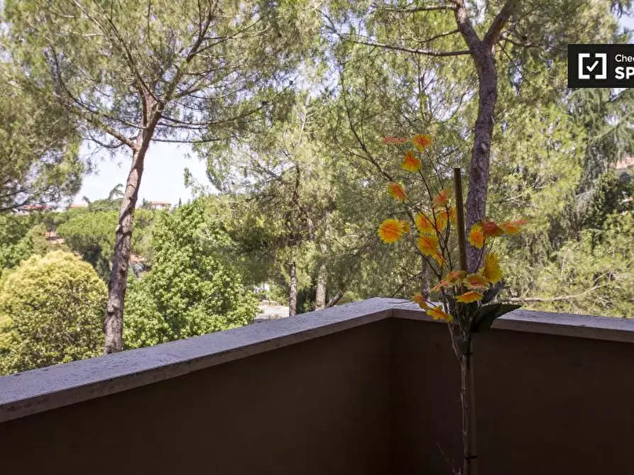 Immagine 19 di Camera condivisa in affitto  in Via Rugantino, 00169 Roma RM, Italy a Roma