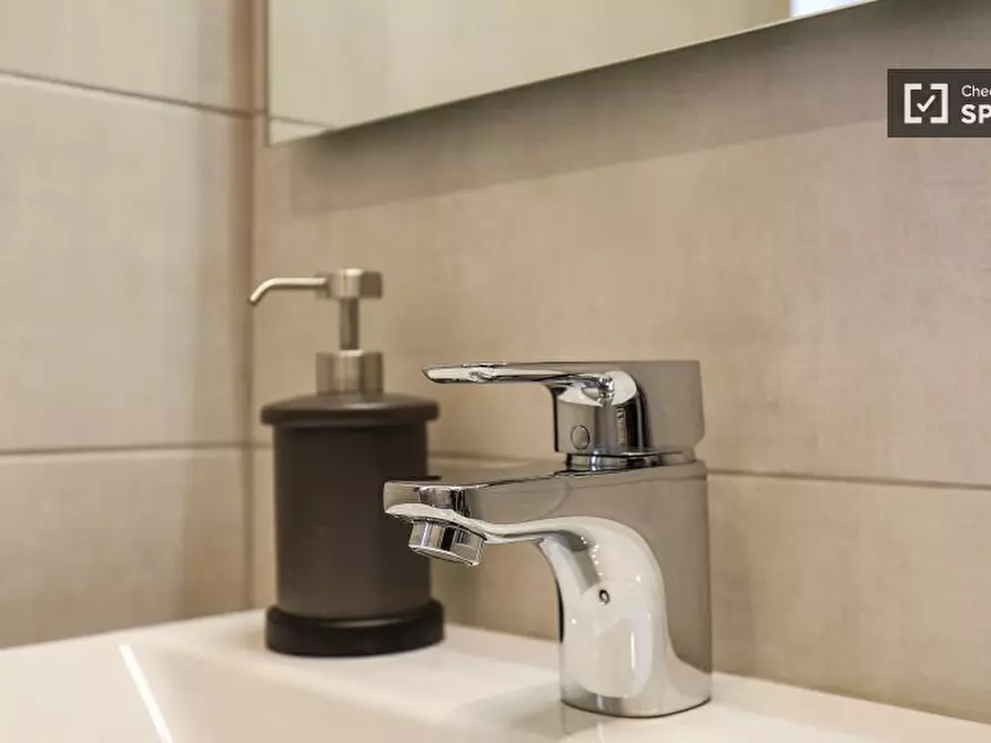 Immagine 19 di Appartamento in affitto  in Via Eugenio Curiel a Rozzano