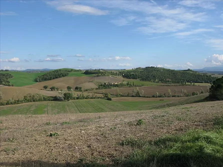 Immagine 8 di Azienda agricola in vendita  a Monteroni D'arbia