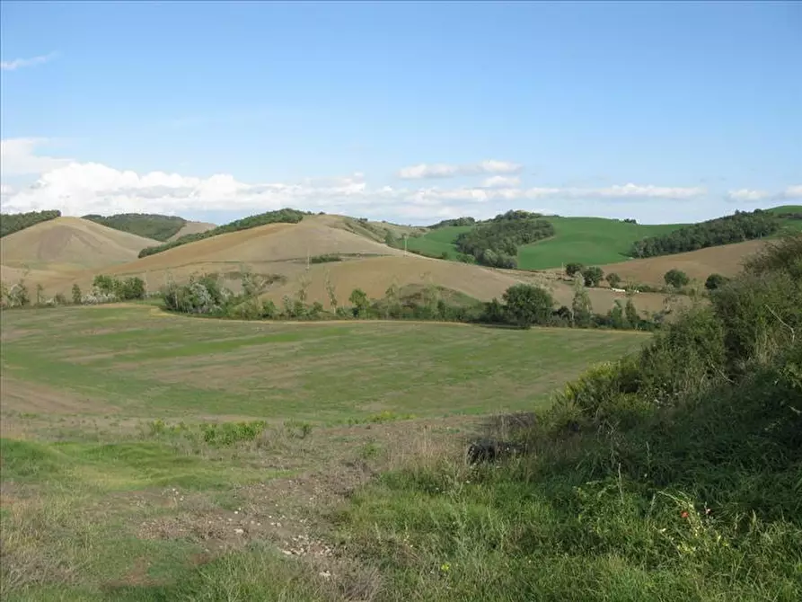 Immagine 10 di Azienda agricola in vendita  a Monteroni D'arbia