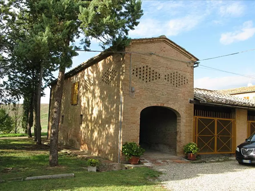 Immagine 2 di Azienda agricola in vendita  a Monteroni D'arbia