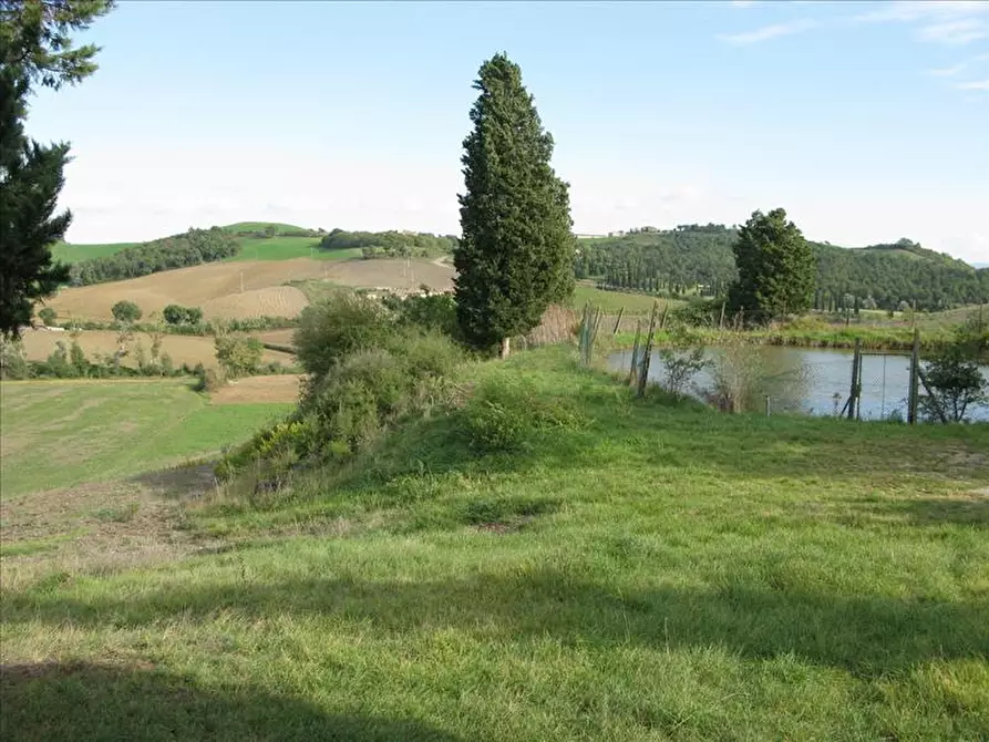 Immagine 3 di Azienda agricola in vendita  a Monteroni D'arbia