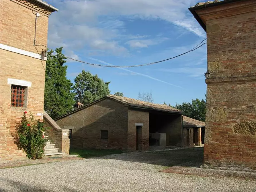 Immagine 5 di Azienda agricola in vendita  a Monteroni D'arbia