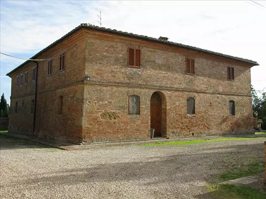 Immagine 6 di Azienda agricola in vendita  a Monteroni D'arbia