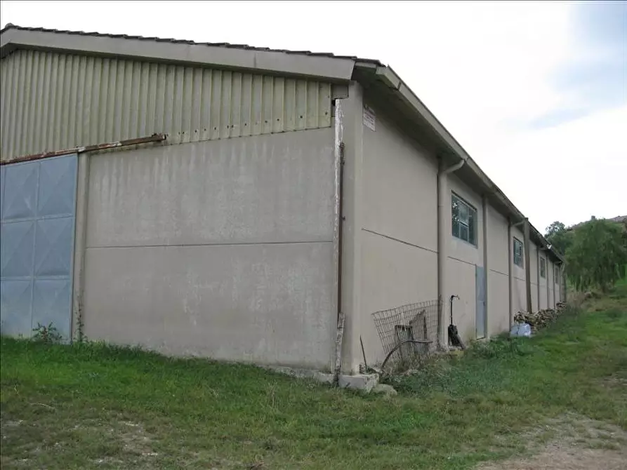 Immagine 10 di Azienda agricola in vendita  a Montepulciano