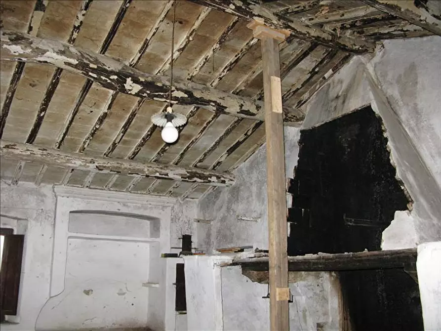 Immagine 5 di Azienda agricola in vendita  a Montepulciano