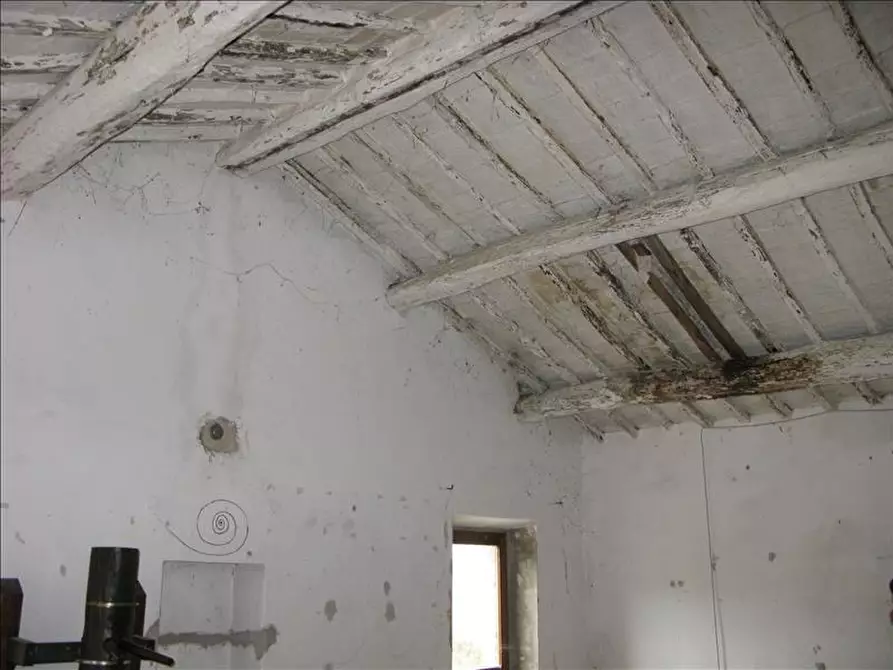 Immagine 6 di Azienda agricola in vendita  a Montepulciano