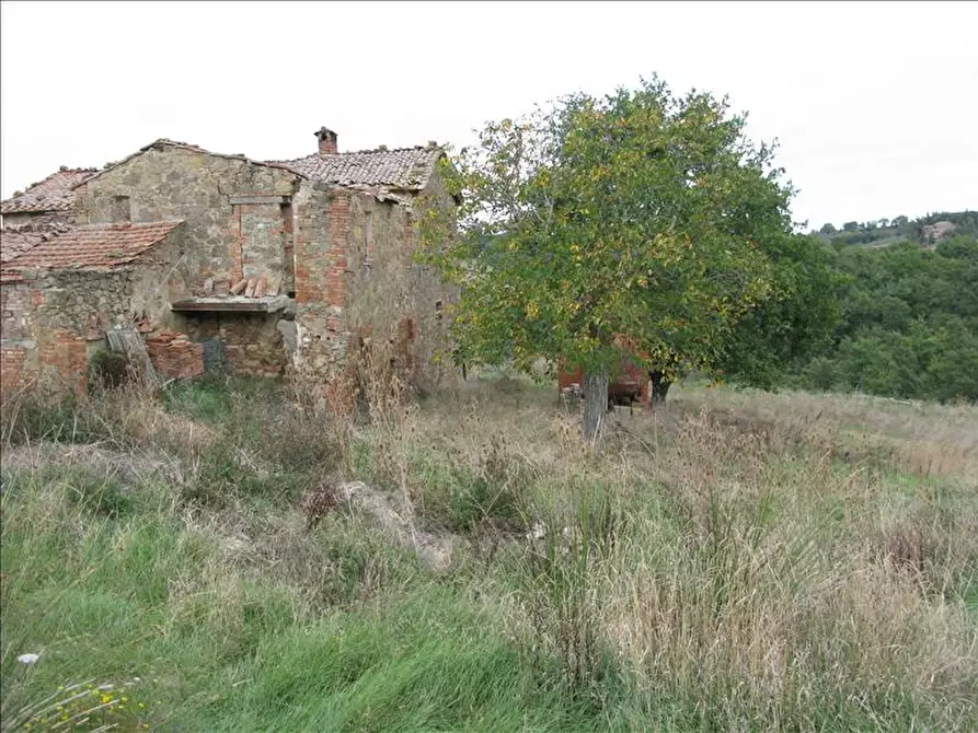 Immagine 7 di Azienda agricola in vendita  a Montepulciano