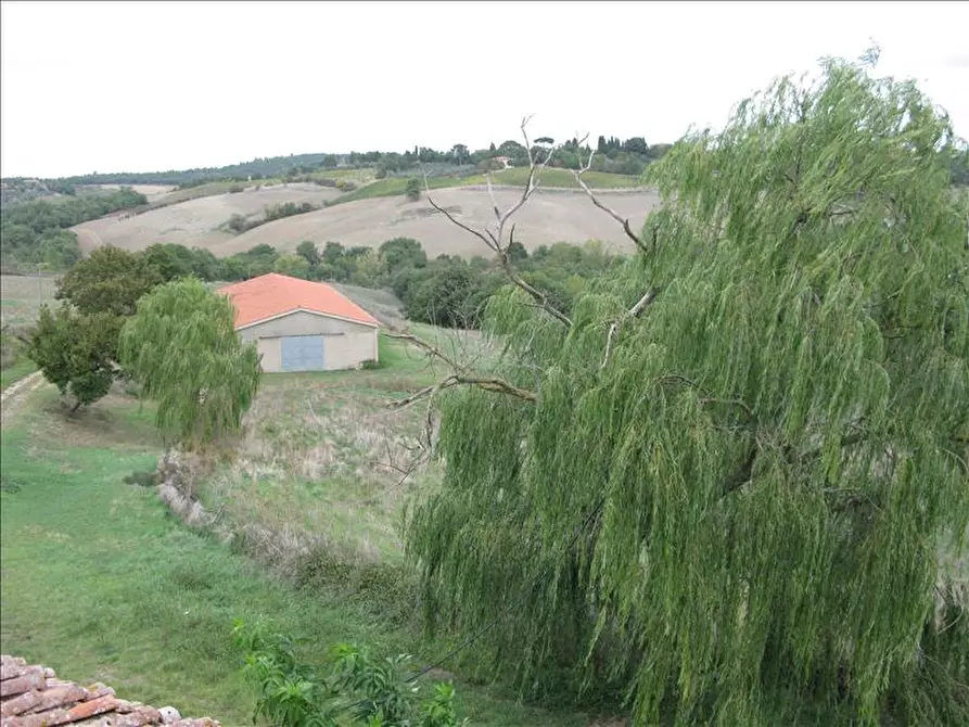 Immagine 9 di Azienda agricola in vendita  a Montepulciano