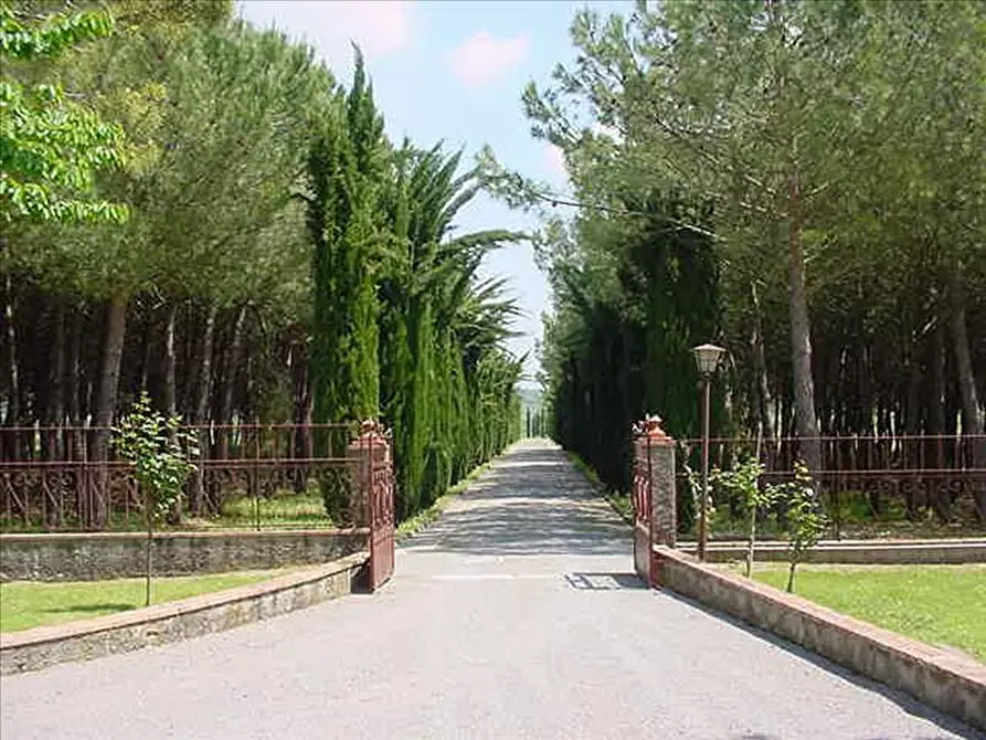 Immagine 9 di Rustico / casale in vendita  a Sarteano