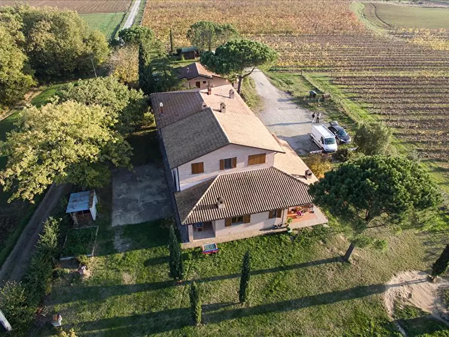 Immagine 2 di Azienda agricola in vendita  a Castiglione Del Lago