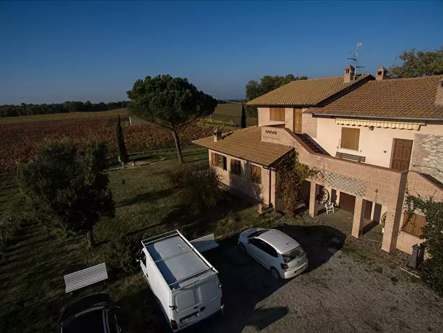 Immagine 4 di Azienda agricola in vendita  a Castiglione Del Lago